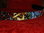 Tattoo Leather DOG collar Nautical Anchor Star Rose (Med.)